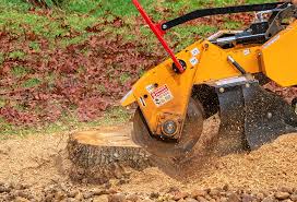 Alsip, IL Tree Removal Company